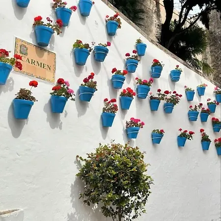 Calmo Marbella, Exclusivo, Centrico Y Con Piscina *